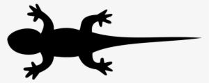 Lizard, Iguana, Gecko, Animal, Nature - Silhouette Lizard