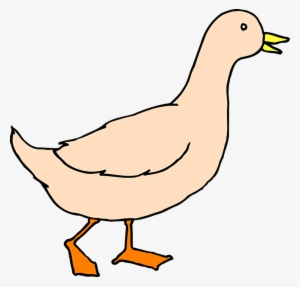 Walking Wings Free Vector Graphic On Pixabay - Duck Art