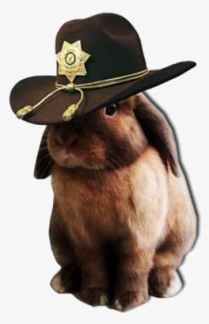 Gemma's Carl Bunny - Rabbit