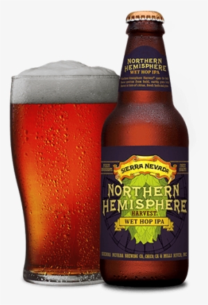 All Of The Precious Oils And Resins For A Unique Drinking - Sierra Nevada Northern Hemisphere Wet Hop Ipa