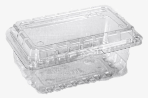 Clamshell 500 Gr H85 - Clamshell