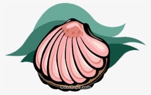 Seashell, Clam Shell Royalty Free Vector Clip Art Illustration - Muschel Clipart
