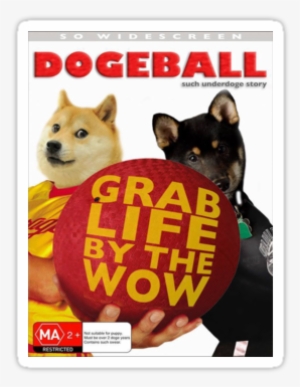 I Saw A Version Where They Simply Changed The Title - Doge Balls