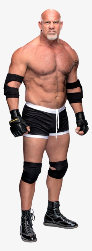 Goldberg Stat - Goldberg Wwe