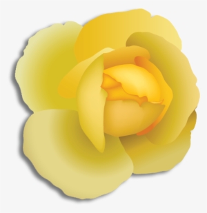 Alpha Phi Alpha - Alpha Phi Alpha Flower