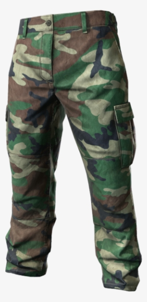 Dayz Cargo Pants