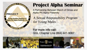 Project-alpha - Radio Zu Live