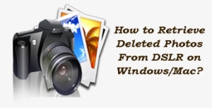 Roman Catholic Diocese Of Chiang Mai