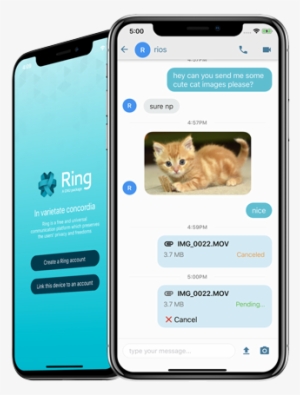 Capture D'écran Du Transfert De Fichiers Sur Ring - Cryptic Crossword