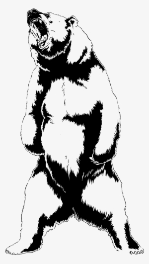 Graphic Library Library Bear At Getdrawings Com Free - Bear Roar Drawing