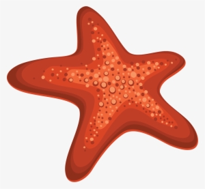 Starfish Png - Морская Звезда Пнг