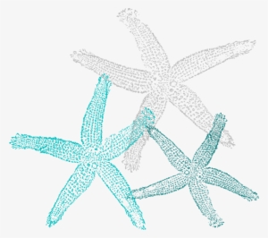 Starfish Clipart Teal