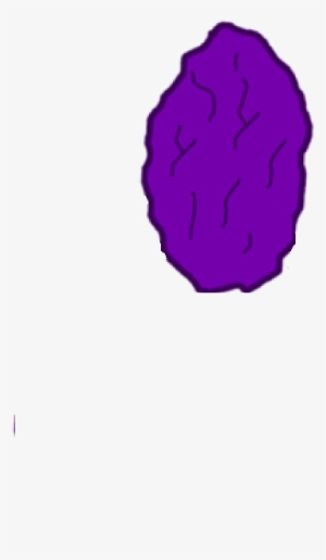 Assets-raisin - Illustration