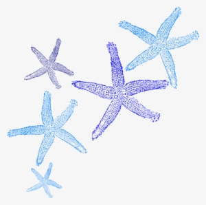 Starfish Clipart Border