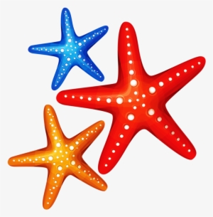 Png Pinterest Clip - Sea Star Cartoon Png