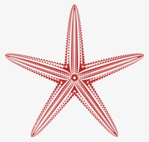 Starfish Clipart - Hawaii Royal Hawaiian Hotel