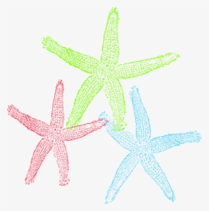 Free Set Of Three Colorful Starfish Clip Art - Graffitee Studios Love Starfish Graphic Art On Wrapped