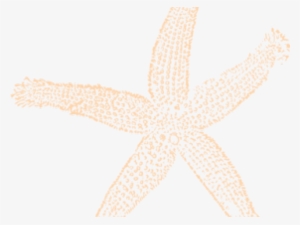 Starfish Clipart Peach - Starfish