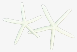 Frames Illustrations Hd Images Photo Twin By - Starfish