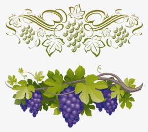 Raisin Png, Tube Fruit, Vendanges - 5th Sunday Of Easter Year B