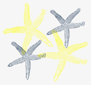 Starfish Prints Clip Art At Clker - Fish Clip Art