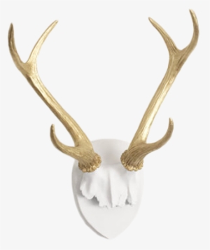 Any Color Faux Deer Antler Mount, White Plaque With - Antler