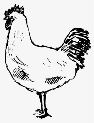 Hen Rubber Stamp - Chicken