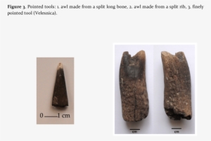 Tip Of A Projectile Point - Velesnica
