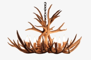 8 Light Mule Deer Antler Chandelier