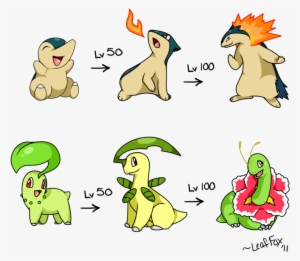Png - Chikorita Pokemon Evolution Chart