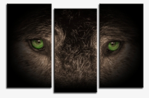 Wolf Eyes 3 Panel Canvas Print 075-01 - Half Life 2 Model Pack
