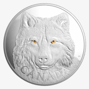 Pure Silver One-kilogram Coin In The Eyes Of The Timber - Canada Wolf Coin