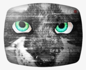 Sairys Wolf - Black Cat