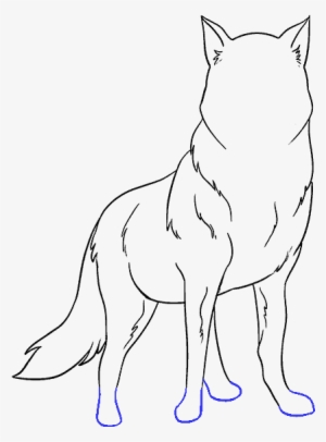How To Draw Wolf - Drawing