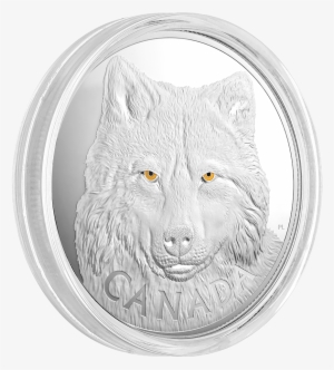 1 Kilogramm Silbermünze - 2017 Fine Silver 250 Dollar Kilo Coin -