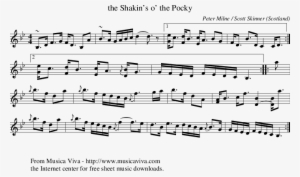Listen To The Shakin's O' The Pocky - Live Not Where I Love
