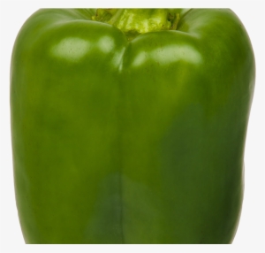 Green Bell Pepper Png Image - Green Bell Pepper