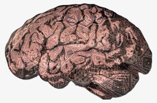 How A Brain Injury Removed A Young Man's Italian Culture, - Weird Png