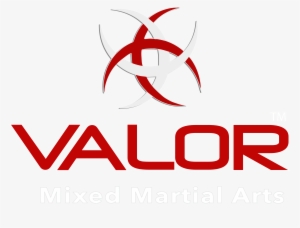 Valor Mixed Martial Arts