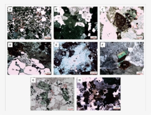 Textural Aspects Photomicrographs Of The Studied Rocks - Collage