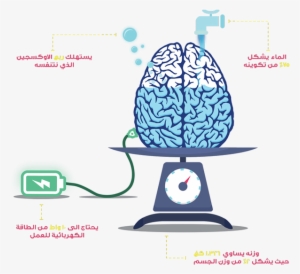 Hannibal Brain Iphone 7 Phone Case