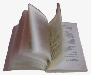 Book 06487 20040730160046 X - Book