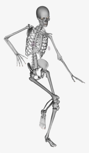 Bones Inspire My 700 Muscles To Push, Pull, Expand, - Dance