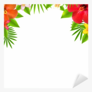 Tropical Flower Border Transparent