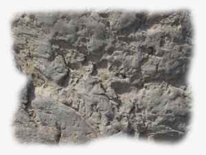 Slate Rock Cover2 06 Feb 2009 - Plastic