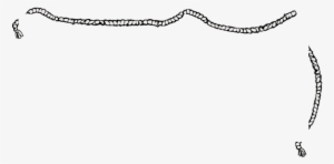 Rusty Anchor At The Music Box - Chain