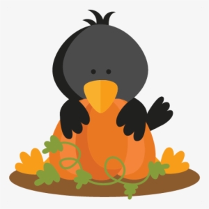 Crow Behind Pumpkin Svg Scrapbook Cut File Cute Clipart - Cute Crow Clipart