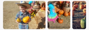 October Fun - Pumpkin Patch - Toddler