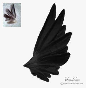 Black Wings Png Free Hd Black Wings Transparent Image Pngkit - dark angel wings by tinalouiseuk on deviantart angel wings side view black