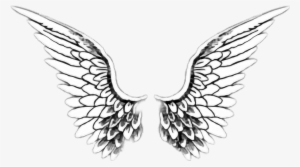 Alas White Tumblr - Angel Wings Transparent